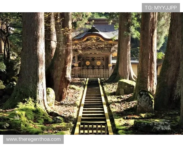 尊龙赴美之旅:文化与风景的双重探索 尊龙赴美之旅:文化与风景的双重探索