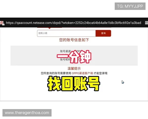 凯时登录账号密码忘记怎么办，详细解决方案助你轻松找回账号