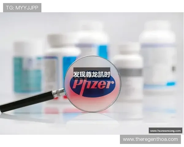 尊龙凯时z6官网下载：用户体验提升的最新优化措施