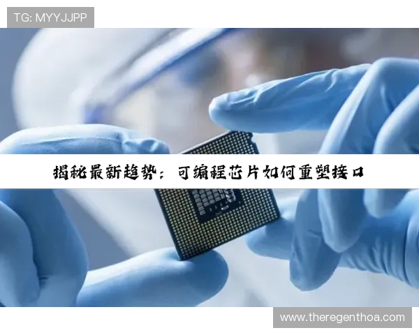 尊龙z6.com地址平台提供安全稳定的游戏入口地址保障玩家账号安全 尊龙z6.com地址平台提供安全稳定的游戏入口地址保障玩家账号安全