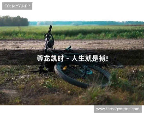 尊龙人生就是博：探索人生无限可能的智慧与哲理